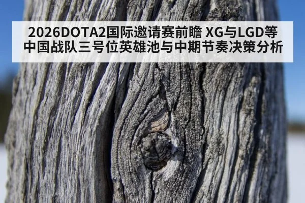 2026DOTA2国际邀请赛前瞻 XG与LGD等中国战队三号位英雄池与中期节奏决策分析