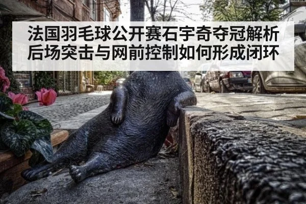 法国羽毛球公开赛石宇奇夺冠解析 后场突击与网前控制如何形成闭环